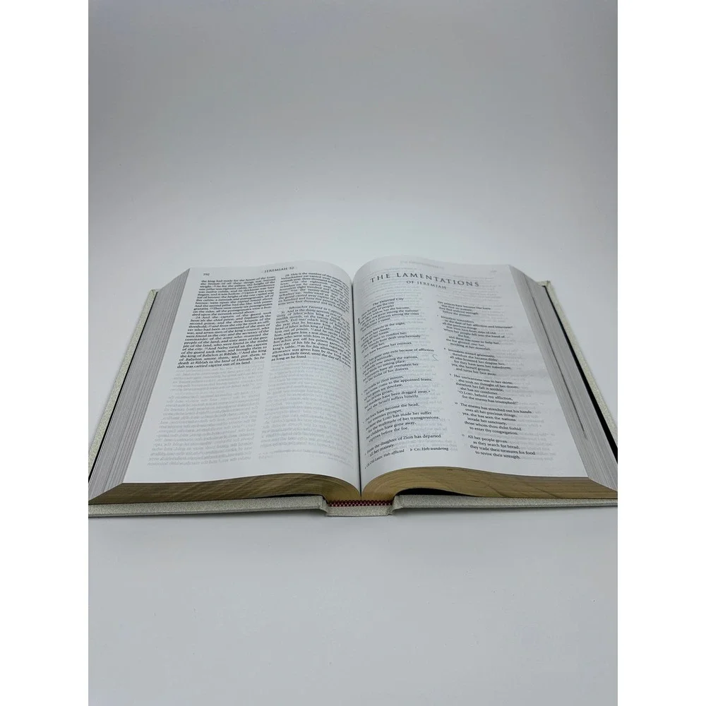 RSV Catholic Edition Holy Bible Gold Gilt Illustrated Hardcover‎ Cream 1993